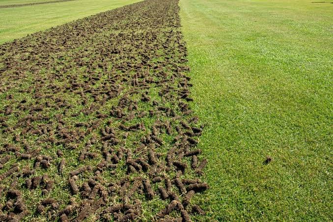 Aeration & Seeding